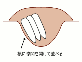 �纬��������¸������ˡ