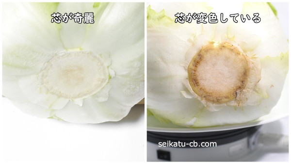 �Ĥο������줤����ڤȿĤ��ѿ��������