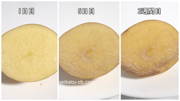 ポリ袋に入れて保存したカットしたじゃがいも断面1日目と5日目と2週間目