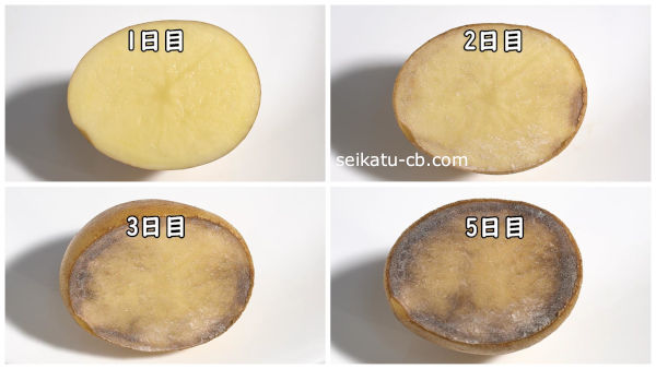 そのまま保存したカットしたじゃがいも断面1日目と2日目と3日目と5日目