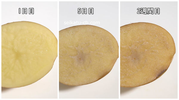 ラップとポリ袋に入れて保存したカットしたじゃがいも断面1日目と5日目と2週間目