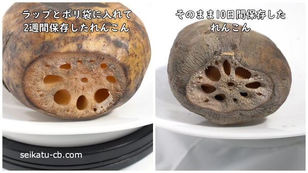 そのまま冷蔵保存したれんこんの切り口とラップとポリ袋に入れて保存したれんこんの切り口