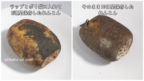 そのまま冷蔵保存したれんこんとラップとポリ袋に入れて保存したれんこん