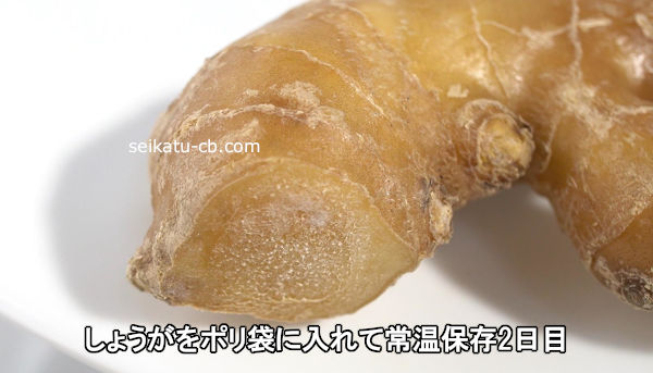 しょうがをポリ袋に入れて常温保存2日目