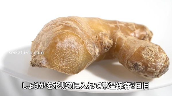 しょうがをポリ袋に入れて常温保存3日目