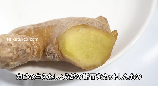 カビの生えたしょうがの断面をカットしたもの