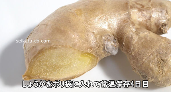 しょうがをポリ袋に入れて常温保存4日目