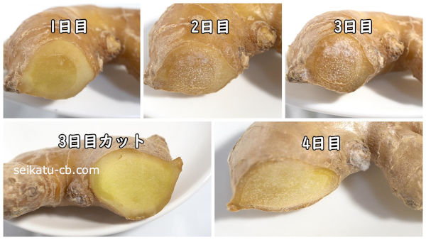 しょうがをポリ袋に入れて常温保存1日目、2日目、3日目、4日目