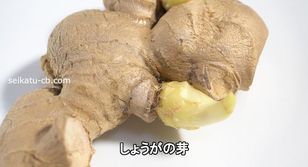 ���礦���β�