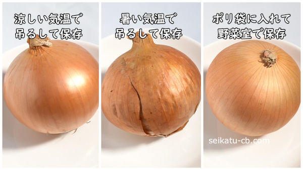 ���줾�����¸��ˡ�ǤΤ��ޤͤ���2�������Ѳ������