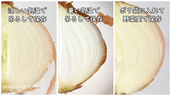 ���줾�����¸��ˡ�ǤΤ��ޤͤ������̤�2�������Ѳ������