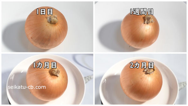 ���ޤͤ����ä����������ߤ뤷����¸1���ܤ�1�����ܤ�1�����ܤ�2������