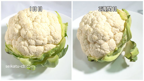 カリフラワーをそのまま常温で保存1日目と2週間目