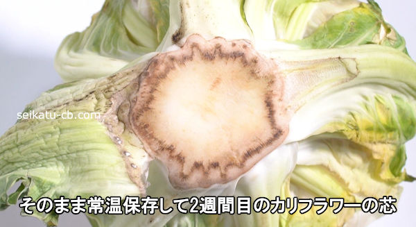 そのまま常温で保存したカリフラワーの芯2週間目