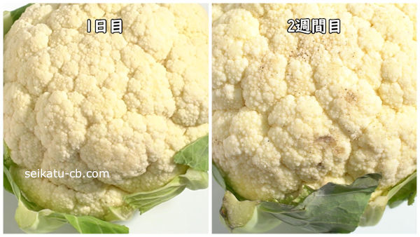 カリフラワーを常温保存1日目と2週間目