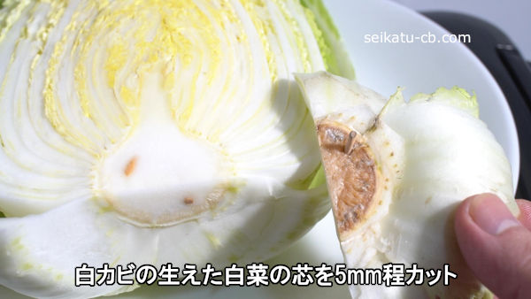 白カビの生えた白菜の芯を5mm程カット