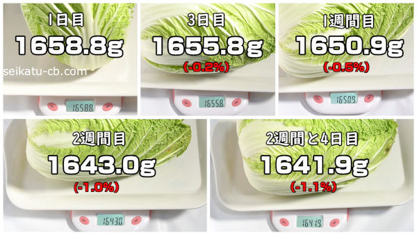 常温保存した白菜の1日目から2週間と4日目までの重さの変化