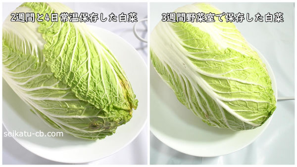 常温保存した白菜と野菜室で保存した白菜を比較