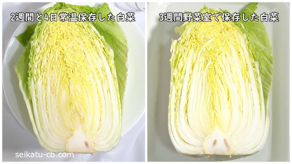 常温保存した白菜の断面と野菜室で保存した白菜の断面を比較