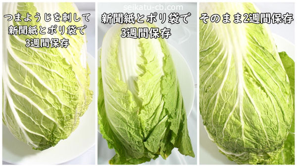 白菜の保存方法別の見た目の変化を比較