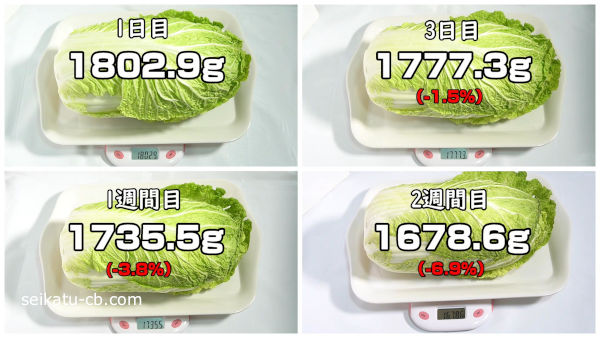 白菜をそのまま保存した時の1日目から2週間目までの重さの変化