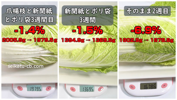 白菜の保存方法別の重さの変化を比較