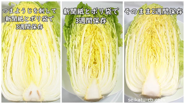 白菜の保存方法別の断面の変化を比較