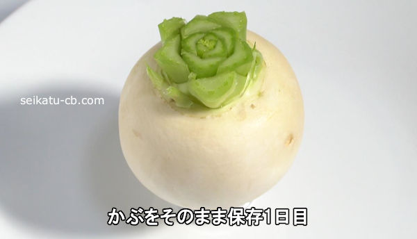 ���֤򤽤Τޤ���¸1����