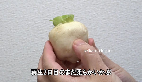 ����2���ܤΤޤ����餫������