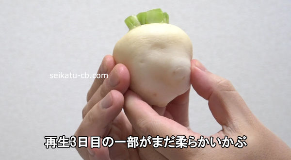 ����3���ܤΰ������ޤ����餫������