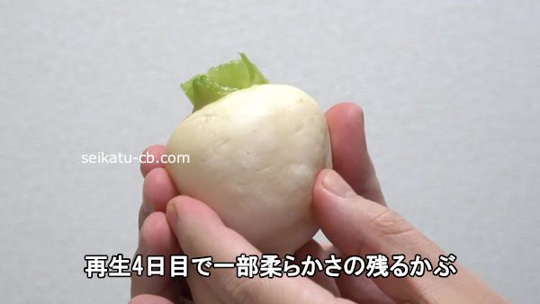 ����4���ܤǤޤ��������餫�����Ĥ뤫��