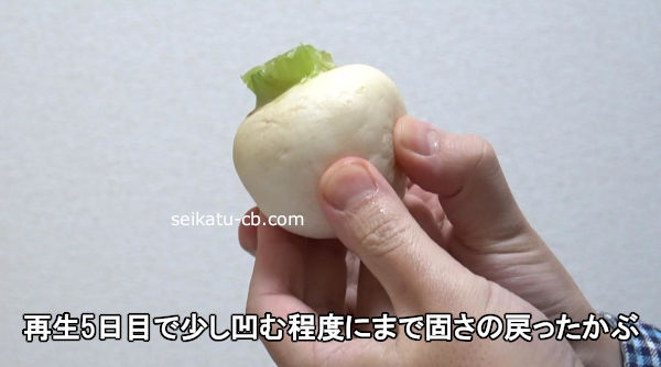 ����5���ܤǾ����������٤ˤޤǸǤ�����ä�����