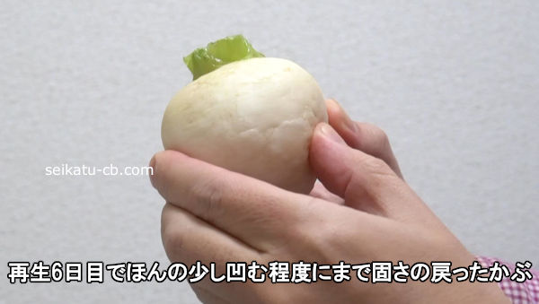 ����6���ܤǤۤ�ξ����������٤ˤޤǸǤ�����ä�����