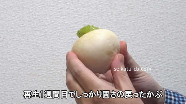 ����1�����ܤǤ��ä���Ǥ�����ä�����