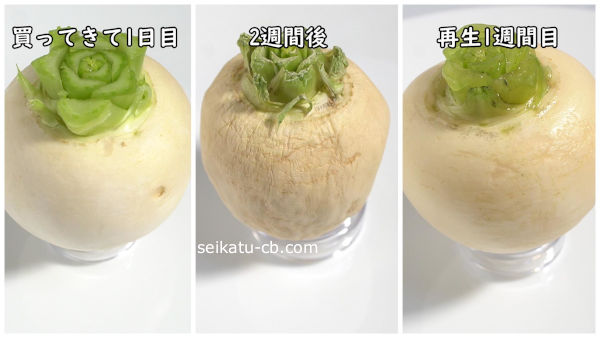 ���ʤӤ����Τ��֤Ȥ��ʤӤ���Τ��֤Ⱥ������������֤����