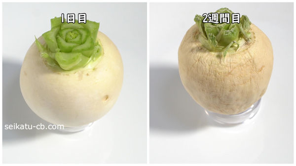 ���֤򤽤Τޤ���¸1���ܤ�2�����ܤ����