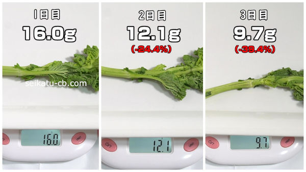 菜の花をそのまま冷蔵保存した時の1日目から3日目までの重さの変化