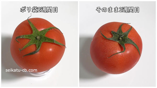2週間そのまま保存したトマトとポリ袋に入れて保存したトマト