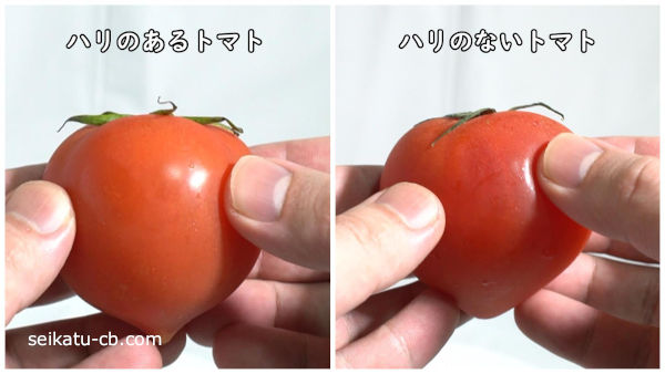 ハリのあるトマトとハリのないトマト