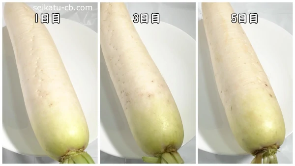 �纬��ƾ�˾ﲹ��¸1���ܤ�3���ܤ�5����