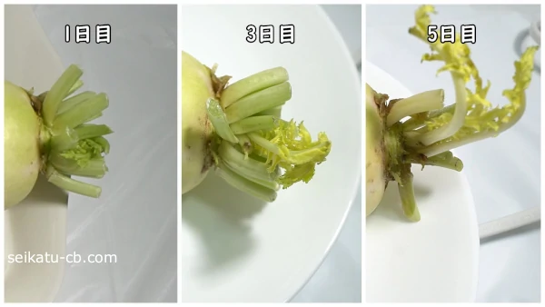 �ƾ�˾ﲹ��¸�����纬�ηԤ��鿭�ӤƤ����դ�5���ܤޤǤ��Ѳ�