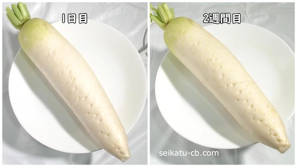 �纬����ڼ�����¸1���ܤ�2������