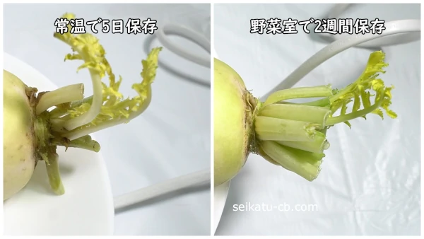 �ƾ��5���־ﲹ��¸�����纬��2������ڼ�����¸�����纬���դο��Ӥ����