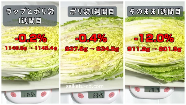 カット白菜の保存方法ごとの重さの変化を比較