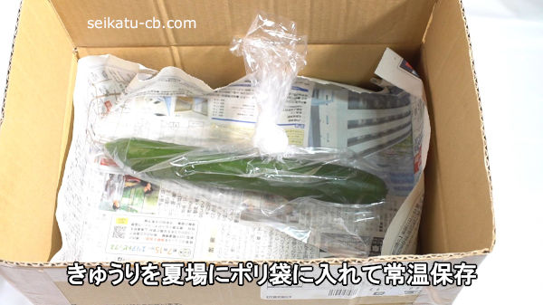 ���夦���ƾ�˥ݥ��ޤ�����ƾﲹ��¸