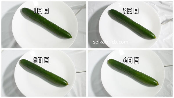 ���夦���ƾ�˾ﲹ��¸1���ܤ���6���ܤޤ�