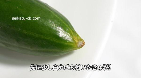 ��˾����򥫥ӤΤĤ������夦��