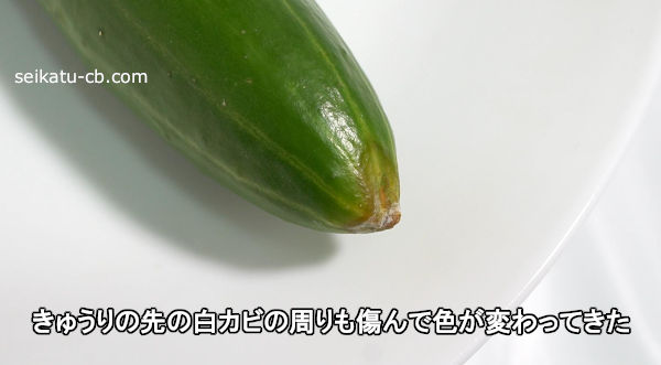 ���夦�������򥫥Ӥμ�������ǿ����Ѥ�äƤ���