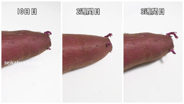 �ƾ�˾ﲹ��¸�������Τ��Ĥޤ���β���Ѳ�