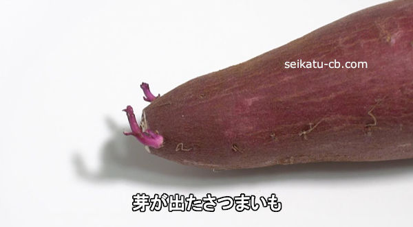 �꤬�Ф����Ĥޤ���